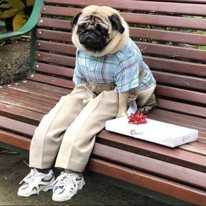 Meet your Posher, Drew